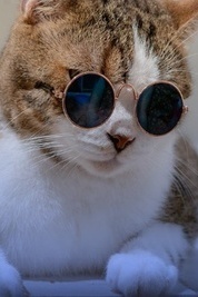 تشعر بالحزن؟ هذا الفیدیو سیعید نشاطک 😂 / مقطع فیروسی لقطه ترقص وتسبح + فیدیو