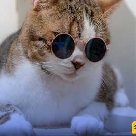 تشعر بالحزن؟ هذا الفیدیو سیعید نشاطک 😂 / مقطع فیروسی لقطه ترقص وتسبح + فیدیو