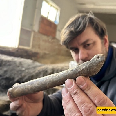 اکتشاف زلاجه عظمیه عمرها ألف عام