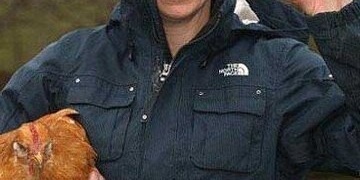 أغلى دجاجه فی العالم وذهبیه: تبیض بیضاً من الذهب الحقیقی بقیمه 480 جنیهًا + صور