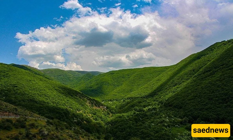 غابه دیزمار