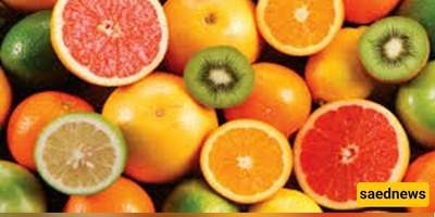 ایران تصدر ألف طن من البرتقال والیوسفی والکیوی من محافظه مازندران خلال الاسابیع الاخیره