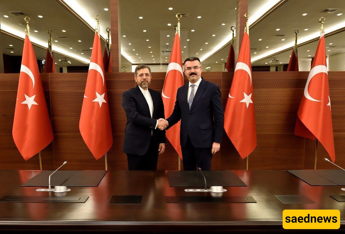 نائب وزیر الخارجیه الایرانیه یلتقی أمین مجلس الأمن القومی الترکی
