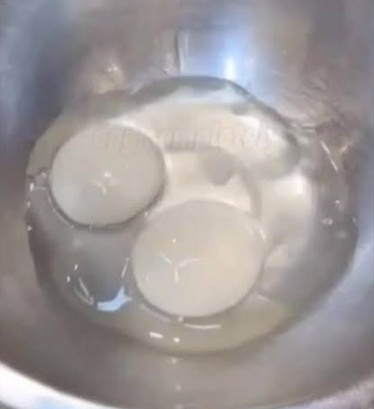 بیضه
