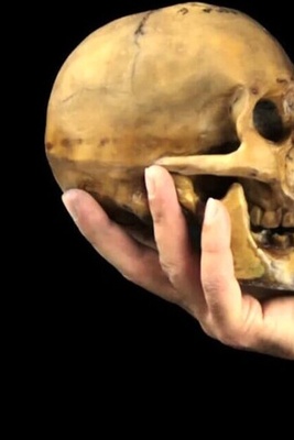 اکتشاف جمجمه بشریه عمرها 10 آلاف عام استخدمت کوعاء للشرب