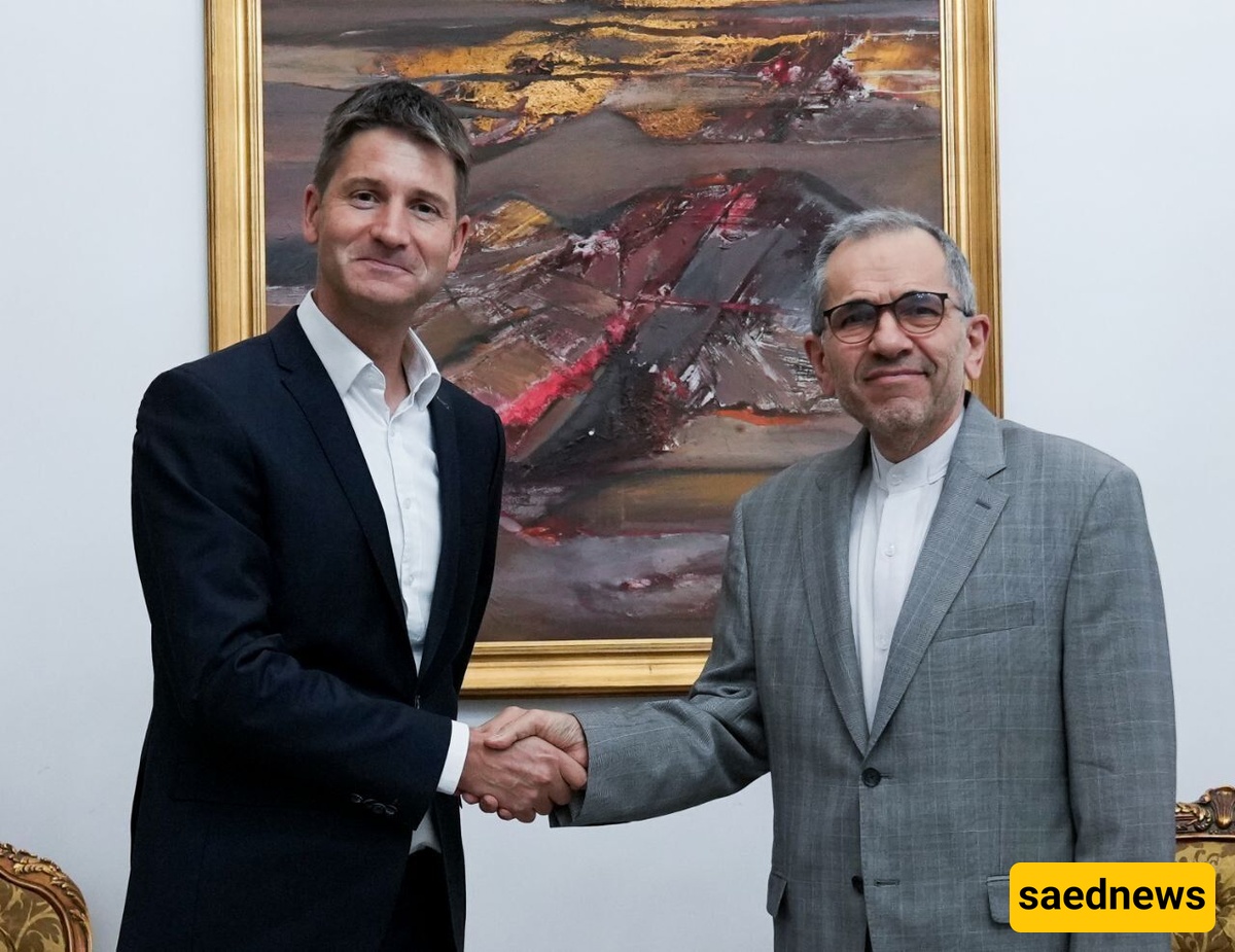 مستشار الأمن القومی السویسری یلتقی نائب وزیر الخارجیه الایرانی