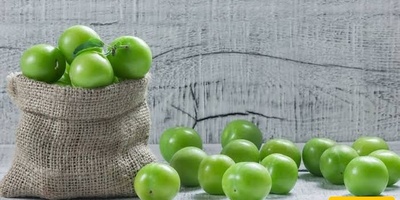 البرقوق الأخضر: السعرات الحراریه، والقیمه الغذائیه، والفوائد الصحیه المذهله