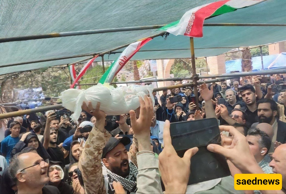 رایان قاسمیان