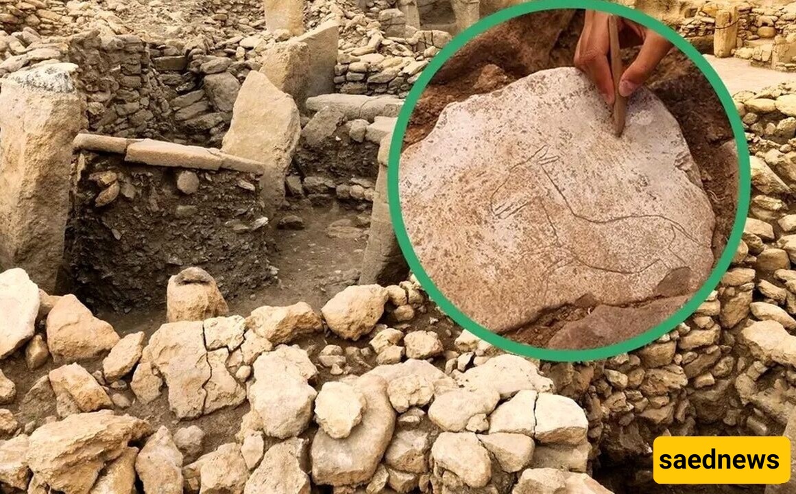 اکتشاف صوره "حمار" فی مستوطنه عمرها 11,000 عام