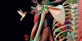 صوت المفاصل المتصدعه: موسیقى ممتعه أم تحذیر صحی؟ توقف قبل فوات الأوان!