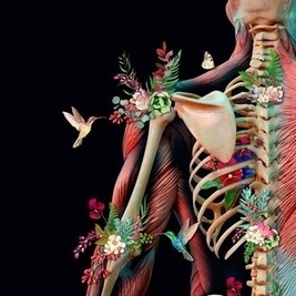 صوت المفاصل المتصدعه: موسیقى ممتعه أم تحذیر صحی؟ توقف قبل فوات الأوان!