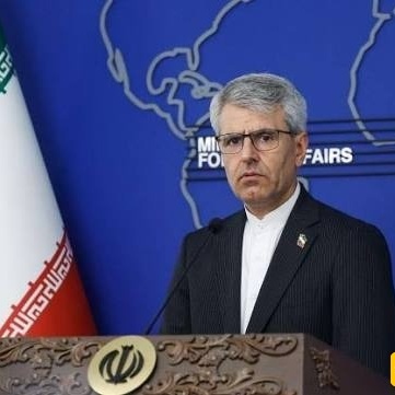 بقائی: الصمت إزاء استخدام القوه یقوّض النظام العالمی
