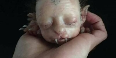 ولاده کائن غریب: وجه إنسان وجسم قط [صوره]