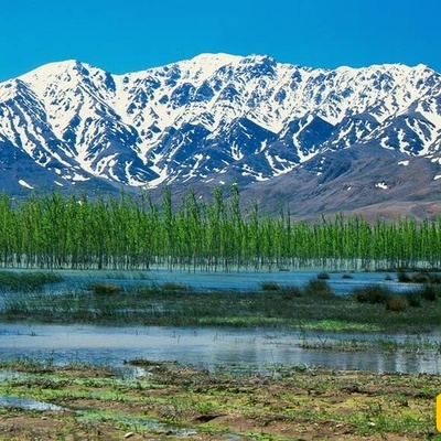 بحیره تشوغاخور: الأراضی الرطبه المذهله فی إیران ذات الأهمیه العالمیه