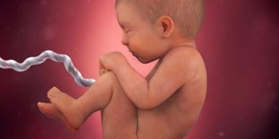 امرأه تبلغ من العمر 26 عامًا تصبح حاملًا بعد عامین من وفاه زوجها – مع صور