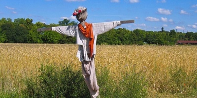 طرق فعّاله لإبعاد الطیور عن الحدائق والمزارع