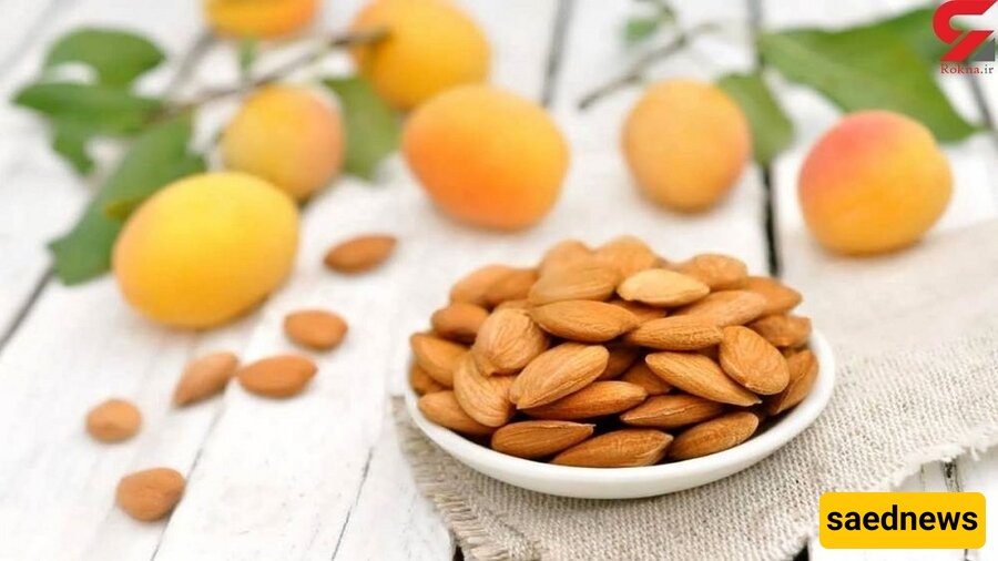 بذور المشمش
