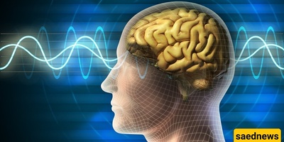 8 أسباب تسبب فقدان الذاکره