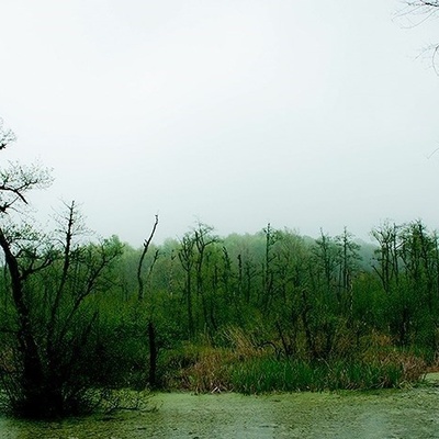 بحیره قادیکولا: جوهره ساحلیه خفیه فی مازندران