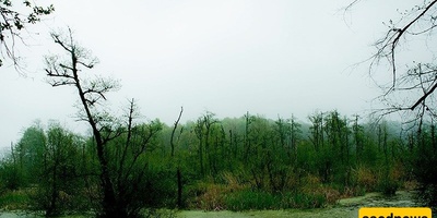 بحیره قادیکولا: جوهره ساحلیه خفیه فی مازندران