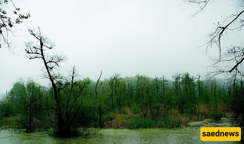 بحیره قادیکولا: جوهره ساحلیه خفیه فی مازندران