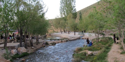 قوانین فی مدینه النساء ✅