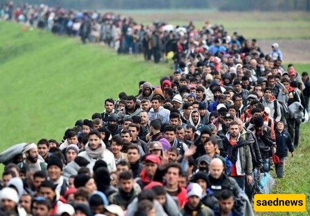 سیاسه ترامب المتشدده تجاه المهاجرین تُفاقم أزمه الشیخوخه فی أمریکا
