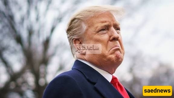 ترامب لم یحصل على أمنیته – جائزه نوبلللسلام لن تذهب إلى دونالد ترامب. من هو الفائز بجائزه نوبل للسلام هذا العام؟