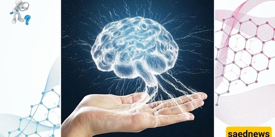 هل یستطیع دماغ الإنسان التنبؤ بکل شیء؟