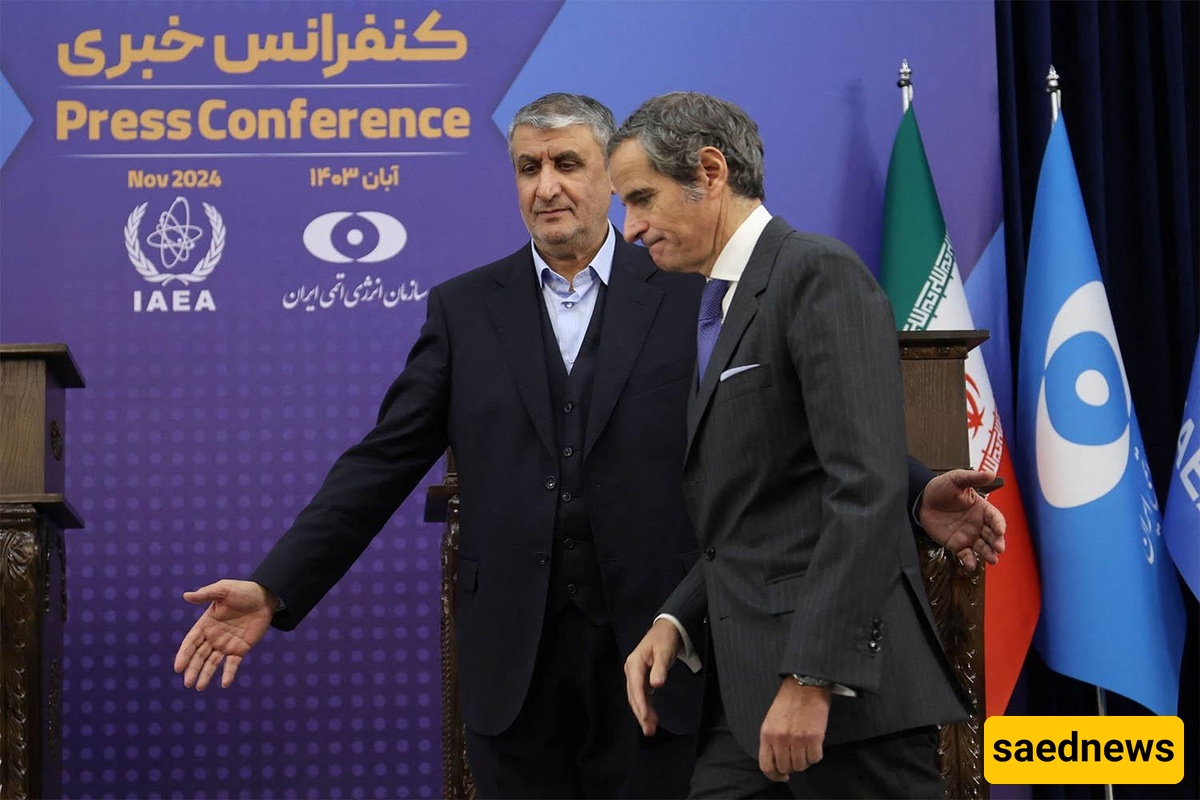 طهران ترد: إیران تقدّم شکوى رسمیه ضد رئیس الوکاله الدولیه للطاقه الذریه رافائیل غروسی بسبب "أجنده سیاسیه"