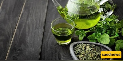 جدات وأجداد یجب أن یستخدموا هذا النوع من الشای؛ مقوٍ للذاکره غنی بالفیتامینات