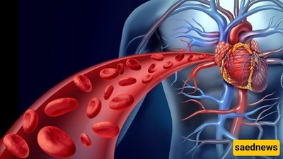 تولید الکهرباء باستخدام دم الإنسان