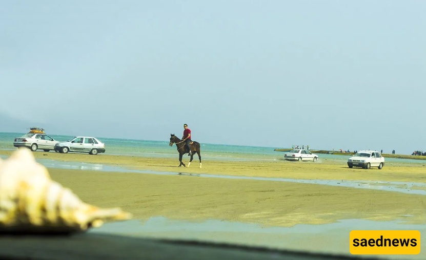 جزر ناز