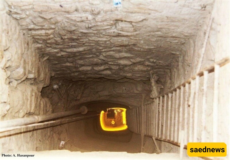 اکتشاف مومیاء مصریه مذهله فی بئر عمیق [صور]