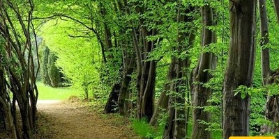 التعریف بسیسانغان ولافیج وبهداشت: وجهات سیاحیه خلابه فی مازندران