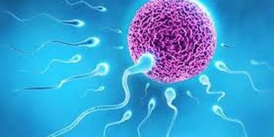 التکاثر بدون بویضات أو رحم أو حیوانات منویه