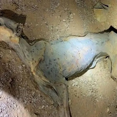 مومیاء فهد طبیعی تُکتشف فی کهوف شمال المملکه العربیه السعودیه