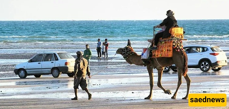 جزر ناز