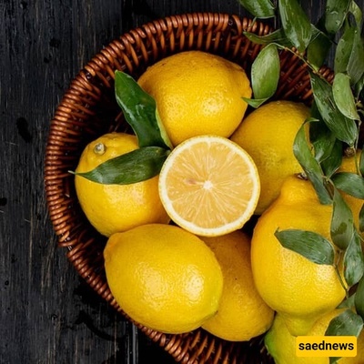 طرق تخزین وحفظ اللیمون الحامض طازجًا