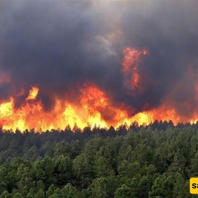 حریق غابات إلیت تحت السیطره