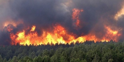 حریق غابات إلیت تحت السیطره