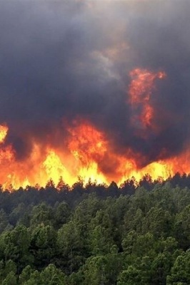 حریق غابات إلیت تحت السیطره