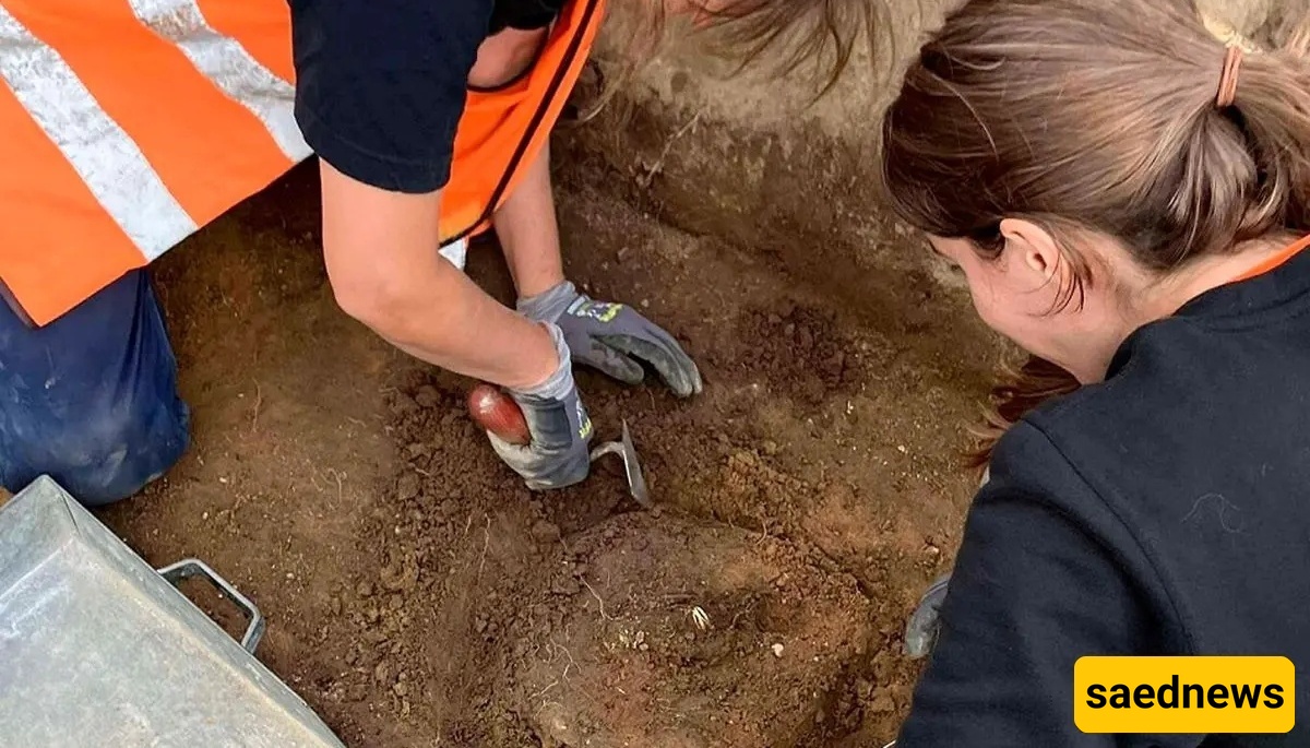 بعد 2800 عام.. اکتشاف کنز الرمح الذهبی أخیرًا