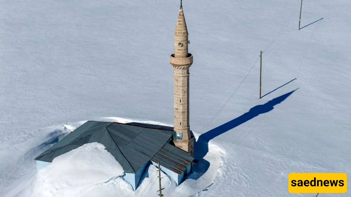 قریه فی شمال شرق ترکیا