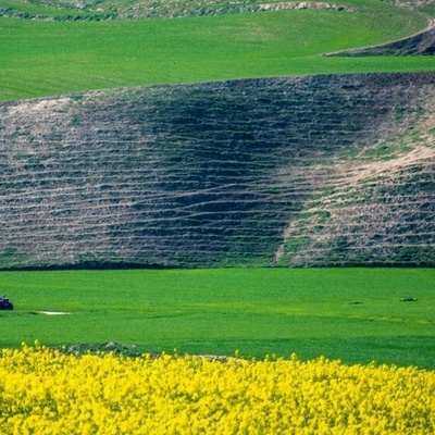 ترکمن صحرا: قلب السهوب الذهبیه فی إیران