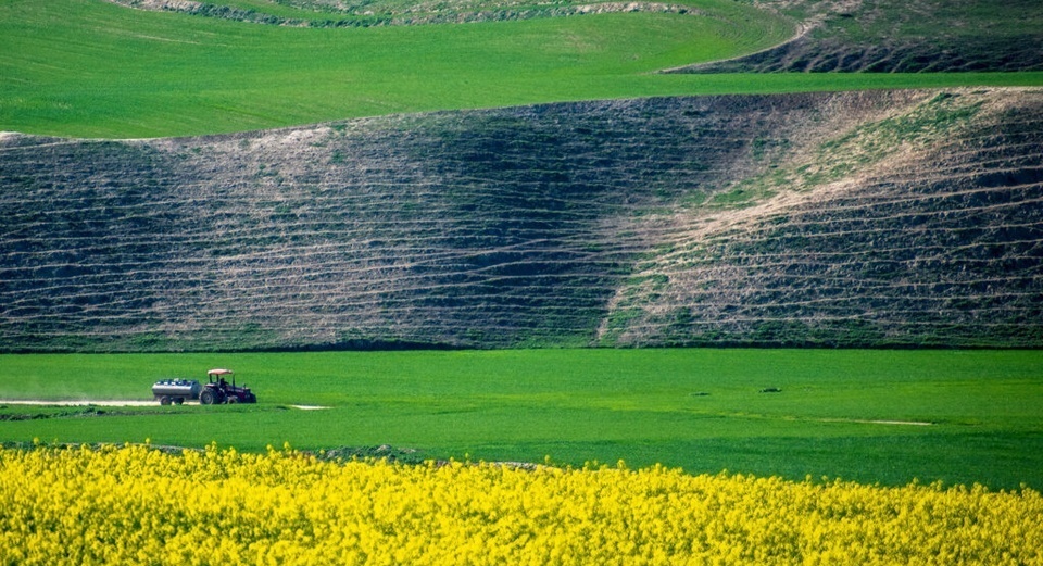 ترکمن صحرا: قلب السهوب الذهبیه فی إیران