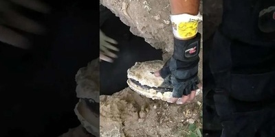 لحظه اکتشاف صائد کنوز لعقد ذهبی قدیم