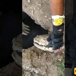 لحظه اکتشاف صائد کنوز لعقد ذهبی قدیم