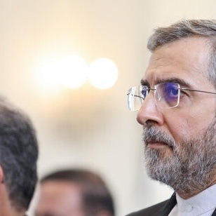 باقری: استخدام آلیه الزناد یدل على عجز أوروبا السیاسی