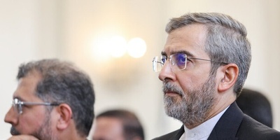 باقری: استخدام آلیه الزناد یدل على عجز أوروبا السیاسی